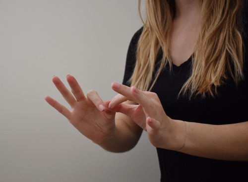 DBI (Deaf Blind Interpreter-communicator) language interpreting & translation