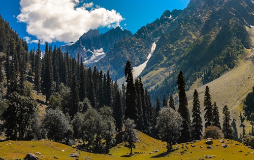 Dogri language interpreting & translation