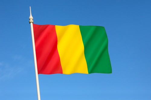 Susu language interpreting & translation